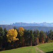 herbst jenesien blick richtung ritten schlern fr