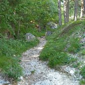 weg grauner joch kurtatsch waldpfad