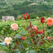 neumarkt ortsteil mazon schloss burg ruine kaldiff caldiff