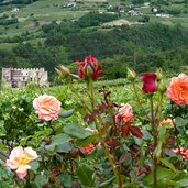 neumarkt ortsteil mazon schloss burg ruine kaldiff caldiff dahinter glen