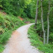 kastelazweg bei kurtatsch