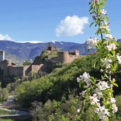 Schloss Sigmundskron Fruehling