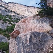 Grosse Scharte Felswand Steine Gantkofel