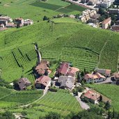 bozen rentsch magdalena weinberge