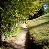 wanderweg von grissian nach obersirmian gemeinde nals