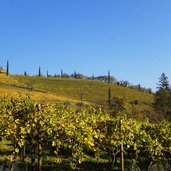 herbst landschaft bei entiklar