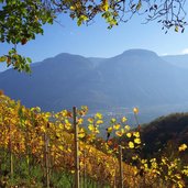 weinlandschaft bei himmelspfort zwischen penon und hofstatt