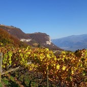 weinreben herbstlandschaft bei hofstatt kurtatsch