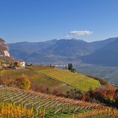 penon weinberge herbst blick richtung hofstatt und graun fr