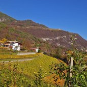 weinlandschaft herbst bei hofstatt kurtatsch