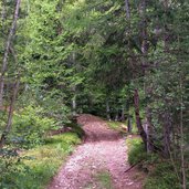 weg von kohlern nach schneiderwiesen