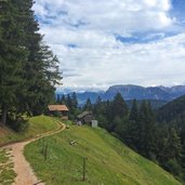 efw forstweg wolftal nach kohlern