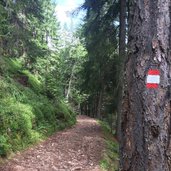 efw forstweg wolftal nach kohlern