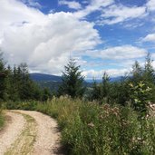 efw forstweg wolftal nach kohlern