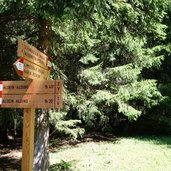 wanderung aldein weissenstein wegweiser wald