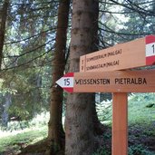 wanderung aldein weissenstein wegweiser wald almen