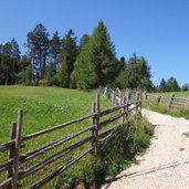 wanderung aldein weissenstein rueckweg almwiesen