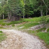 forstweg koenigswies weg nr abzweigung wanderweg