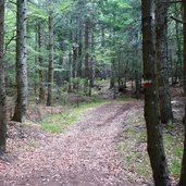 wanderweg weg nr auf die koenigswiese