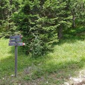 wanderweg weg nr auf die koenigswiese abzweigung zum gipfel