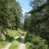 forstweg koenigswies weg nr