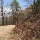 weg nr haselburg virgl