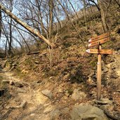 weg nr haselburg virgl