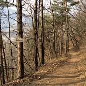 weg nr haselburg virgl