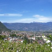 kaltern mitterdorf apfelbluete fruehling