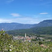 kaltern dorf apfelbluete fruehling