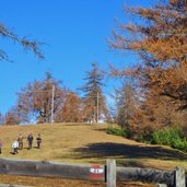 jenesien herbst wanderer am weg