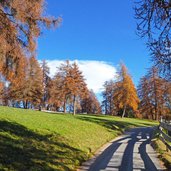 weg und efw jenesien laerchenwiesen herbst