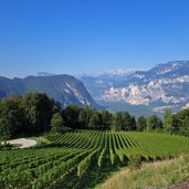 weinberge oberhalb von buchholz und aussicht salurner klause