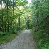 kalditsch weg nach holen bei aldein