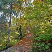 weg glaning flak herbst herbstlaub