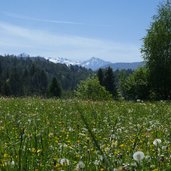 wiesen unterhalb von aldein