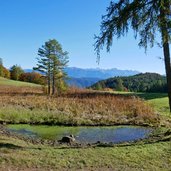 biotop steiflerweiher oberglaning jenesien