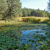 kreuzer weiher oberglaning