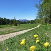 prati alle regole di malosco primavera