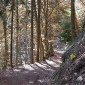 weg eppaner hoehenweg richtung matschatsch herbst