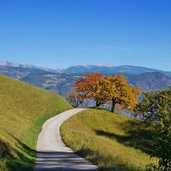 buchwald oberhalb eppan herbstpanorama richtung bozen schlern sarntal