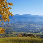 buchwald oberhalb eppan herbstpanorama