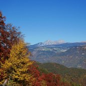 herbst wald bei buchwald blick richtung moelten und ifinger