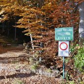 weg nr buchwald nach perdonig herbstwald