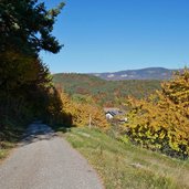 weg nr buchwald nach perdonig herbstwald