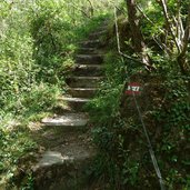 auer schwarzenbach beginn katzenleiter