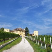 tramin schloss rechtental weinberge