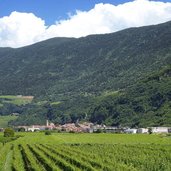 salurn und weinberge