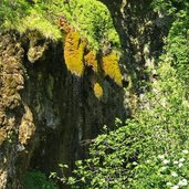 margreid naturdenkmal regenstein