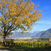 Eppan Herbst Bank Baum St Pauls Paulsner Kirchturm